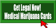 Las Vegas’ Big Players Compete for Medical Marijuana Licenses